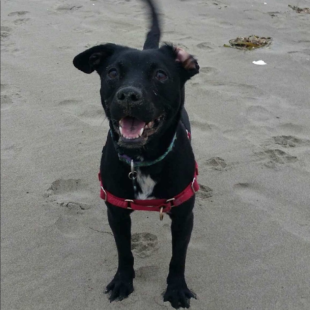 Meet your Posher, Alissia